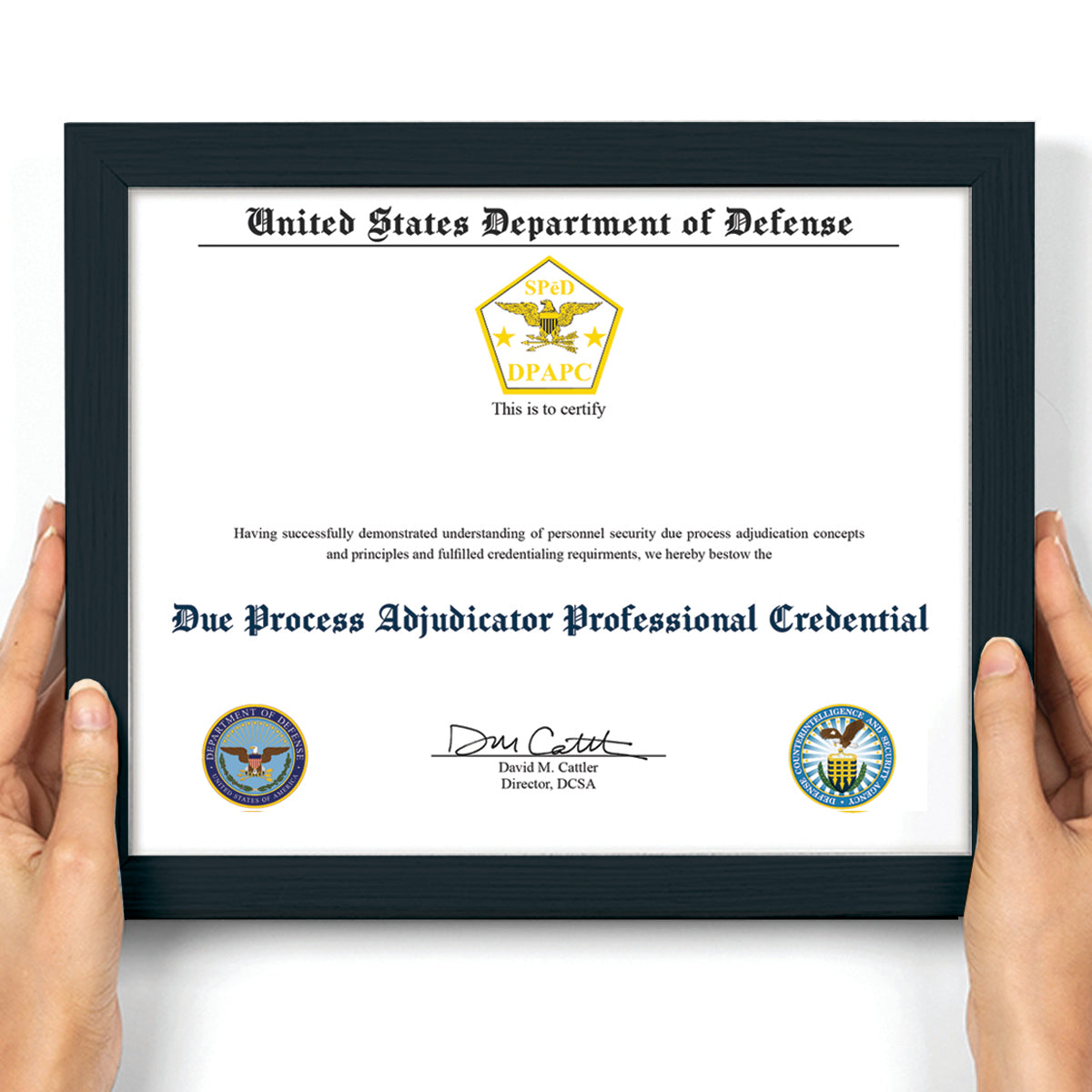 Due Process Adjudicator Professional Credential (DPAPC)