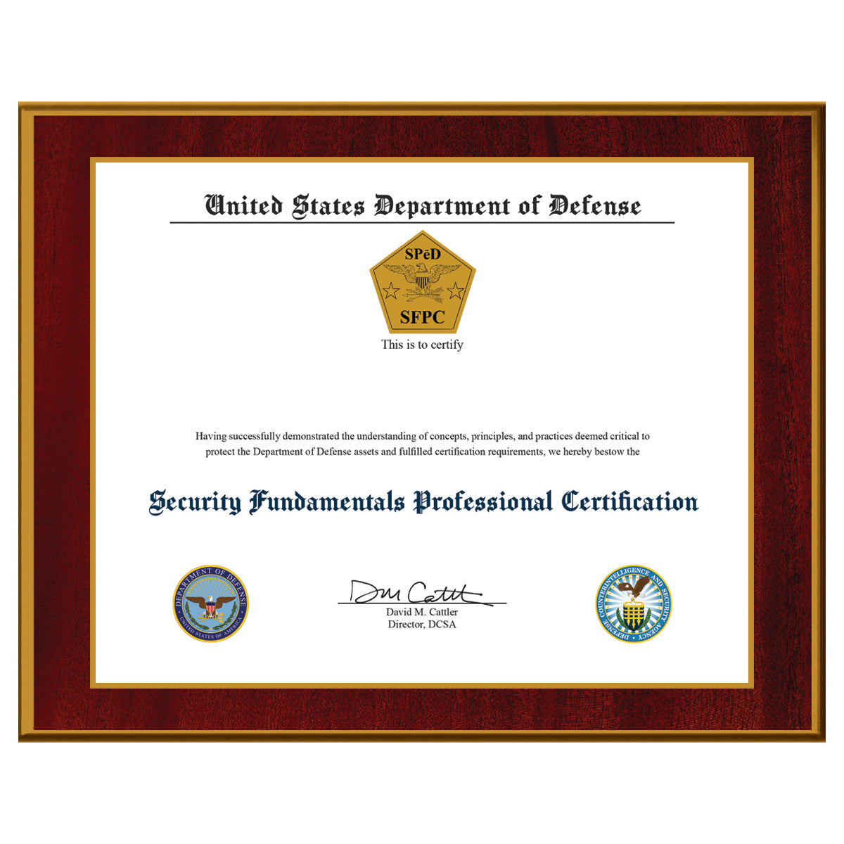 Security Fundamentals Professional Certification (SFPC)