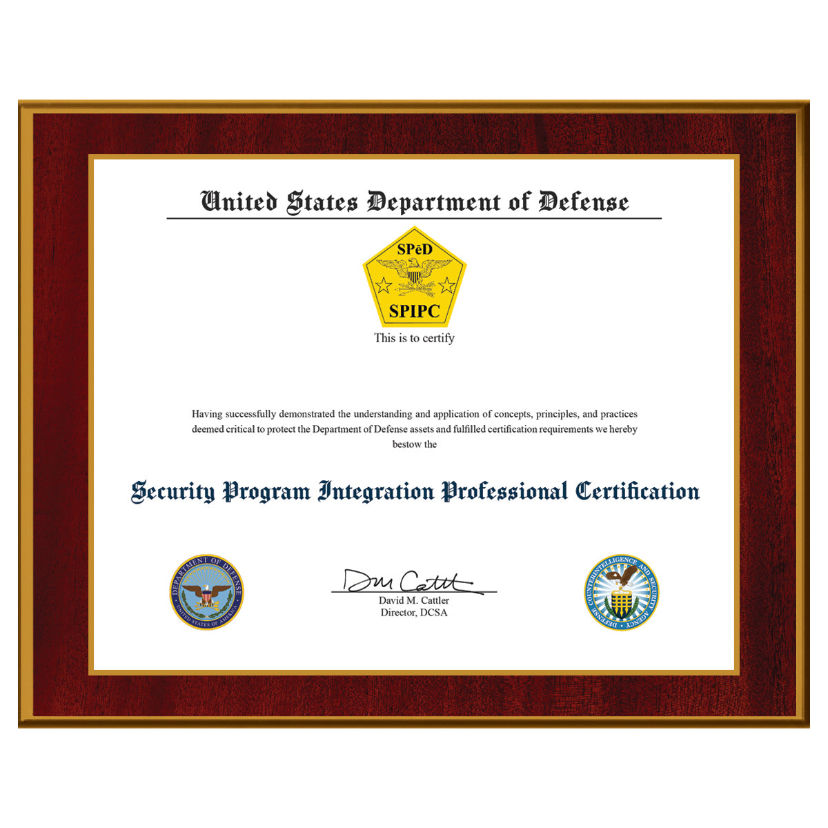 Security Program Integration Professional Certification (SPIPC)