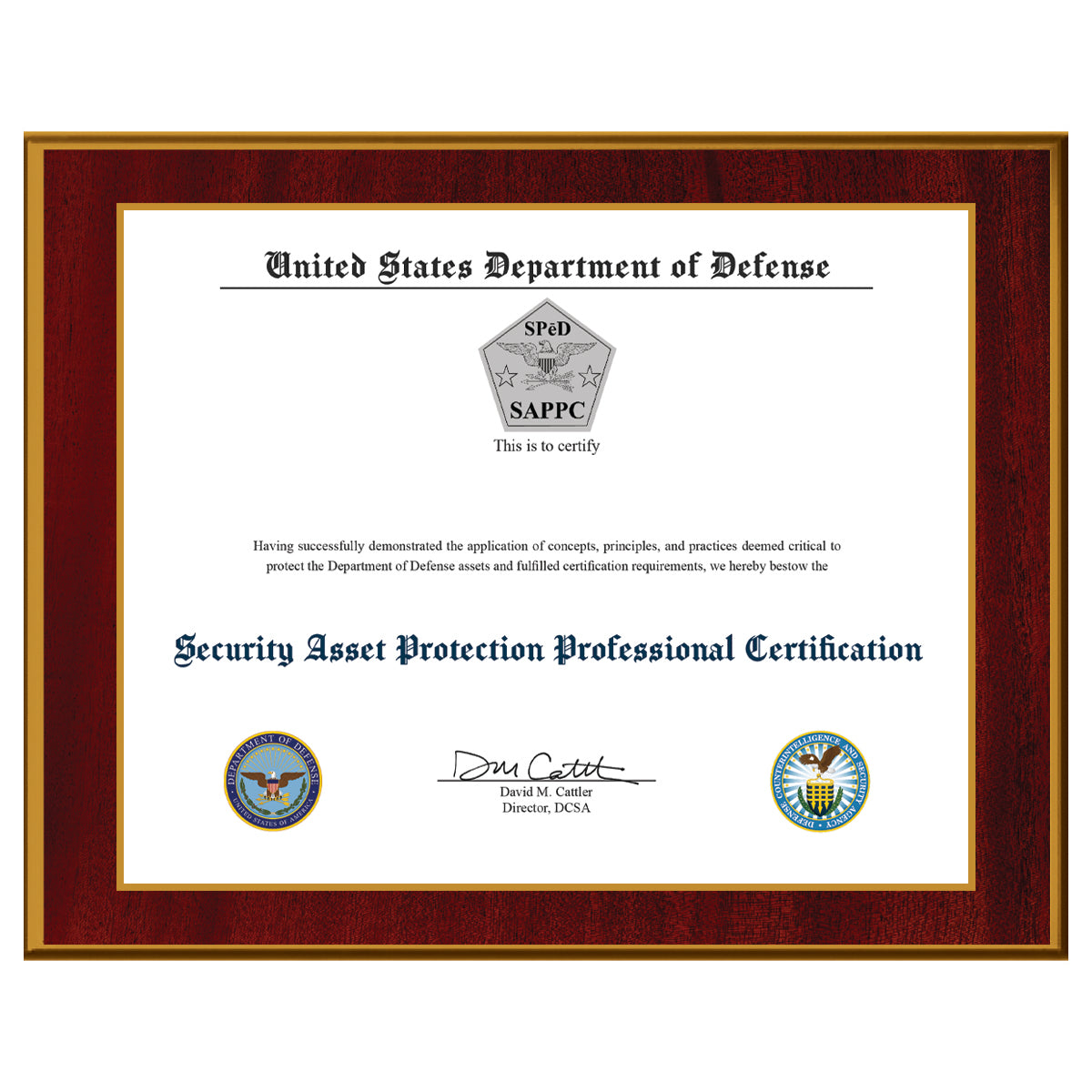 Security Asset Protection Professional Certification (SAPPC)