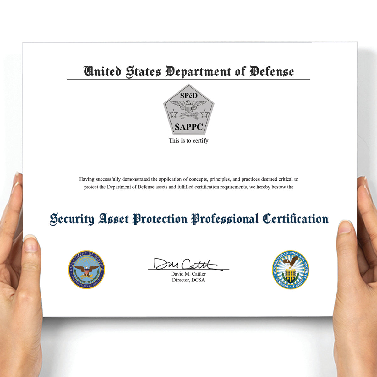 Security Asset Protection Professional Certification (SAPPC)