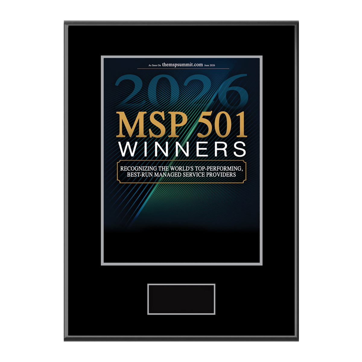 MSP 501 2026 Winners (213515)