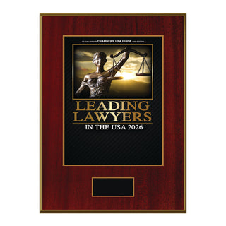 Leading Lawyers In The USA 2026 (213667)