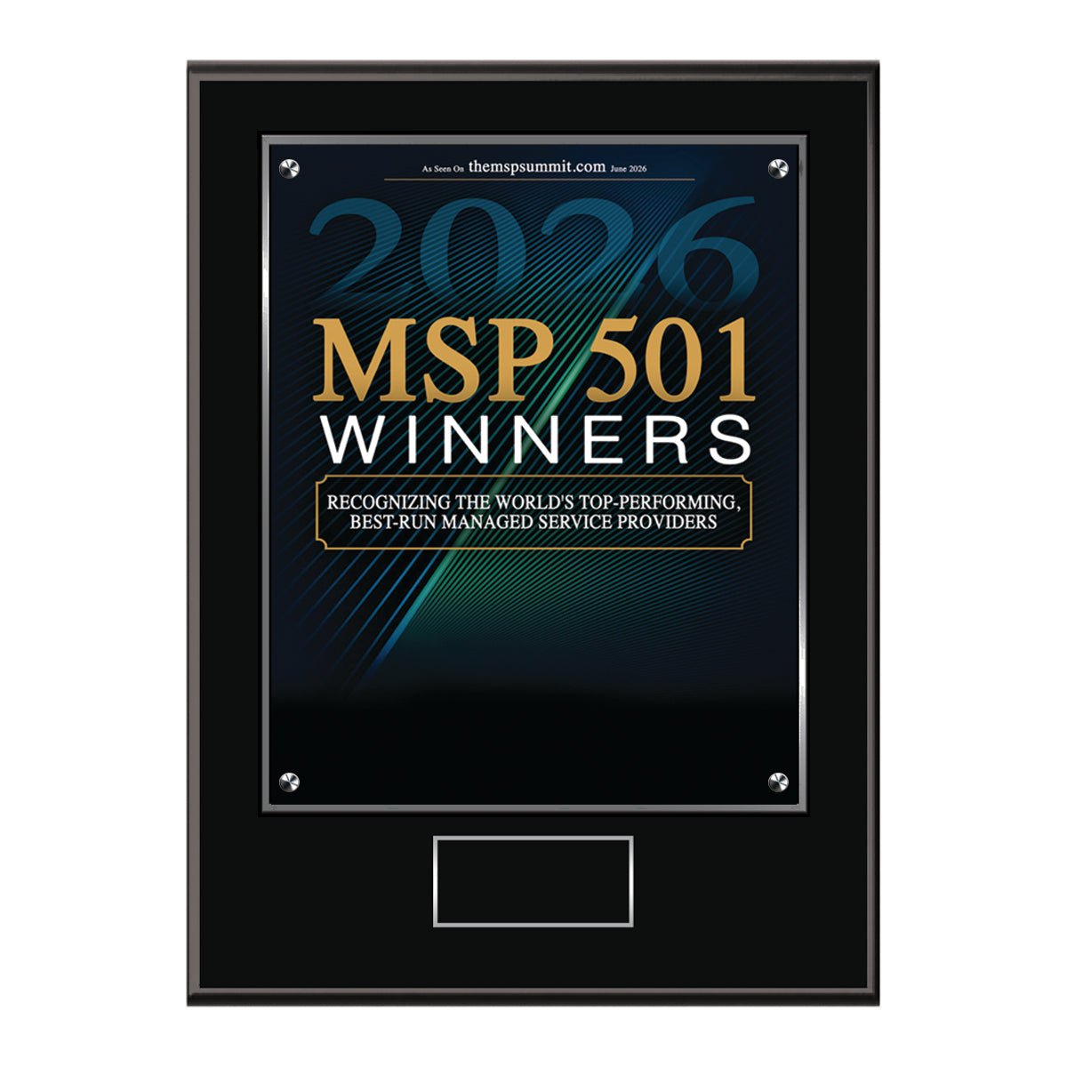 MSP 501 2026 Winners (213515)