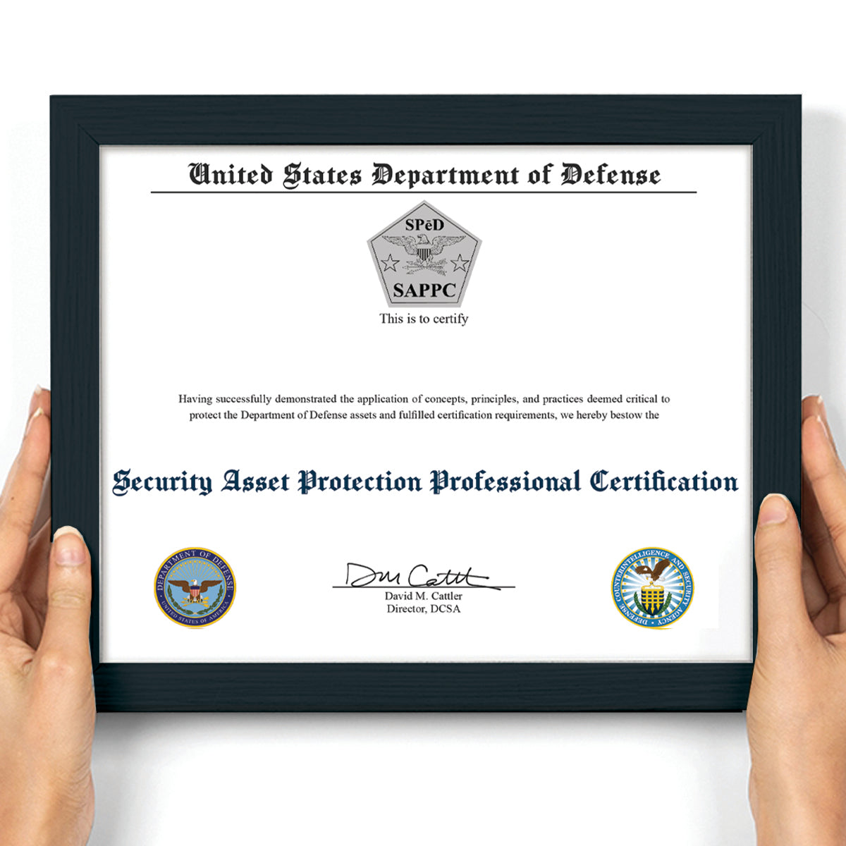 Security Asset Protection Professional Certification (SAPPC)